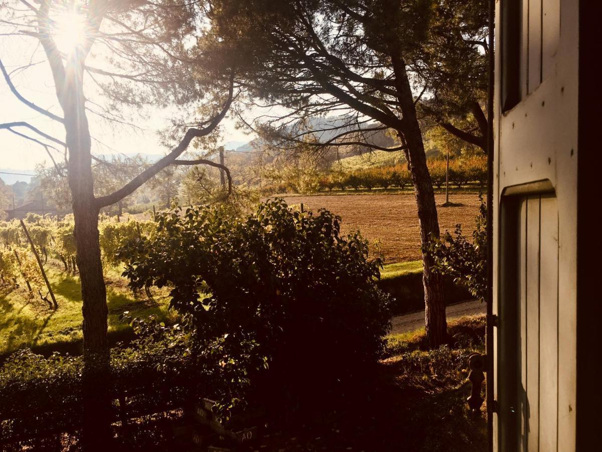 Il Cardello Locanda Casola Valsenio Exteriér fotografie