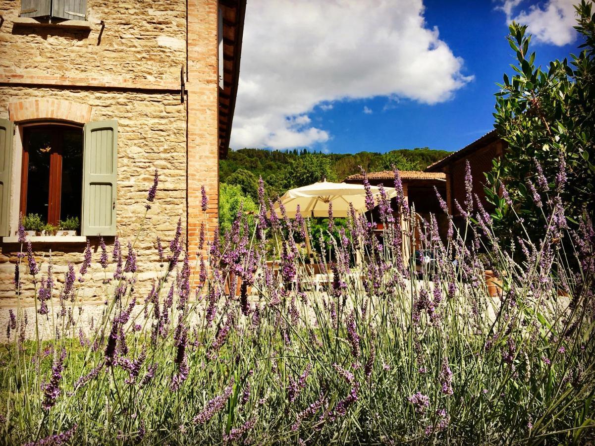 Il Cardello Locanda Casola Valsenio Exteriér fotografie