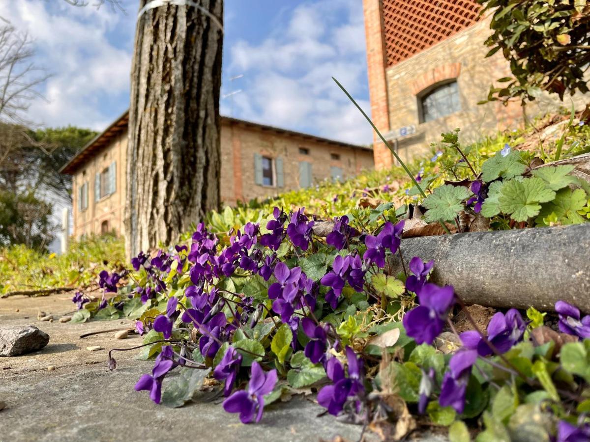 Il Cardello Locanda Casola Valsenio Exteriér fotografie